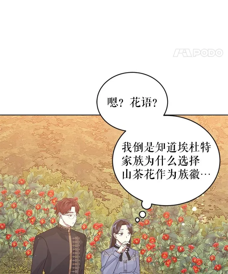 43.山茶花的花语51