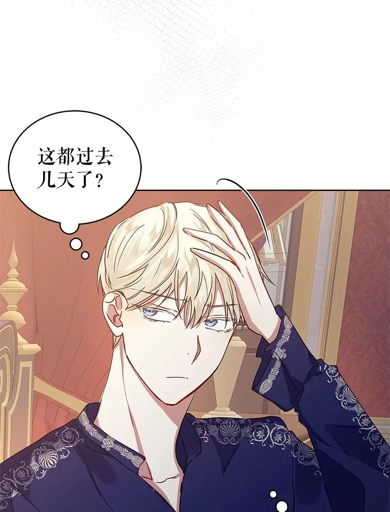 7.山茶花43
