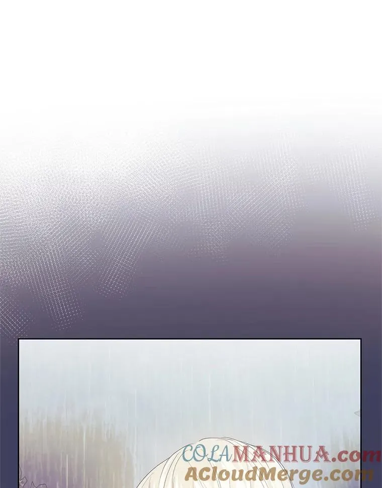 43.山茶花的花语40