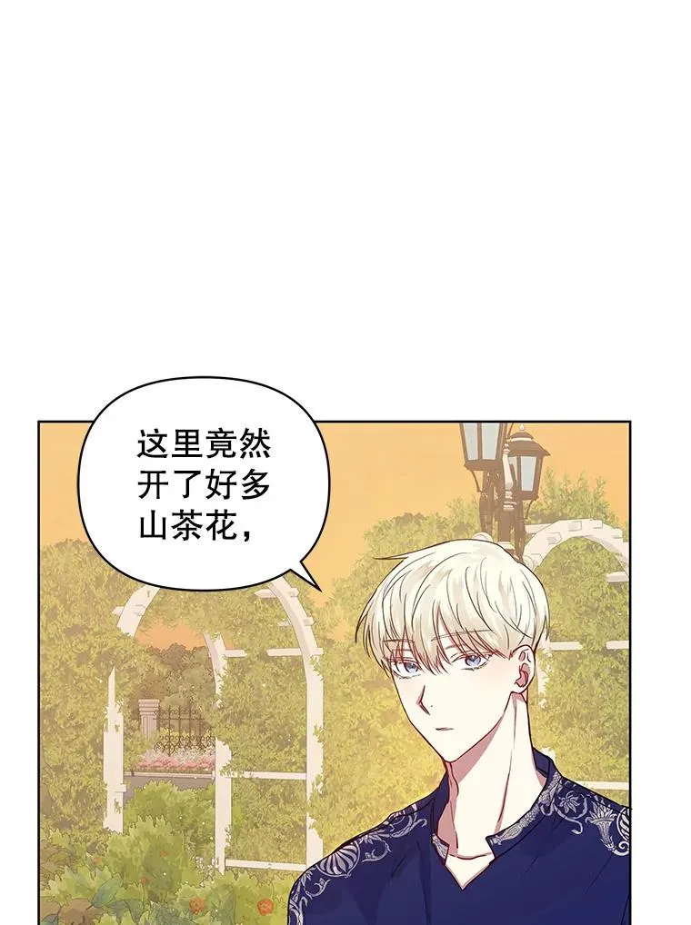 7.山茶花106