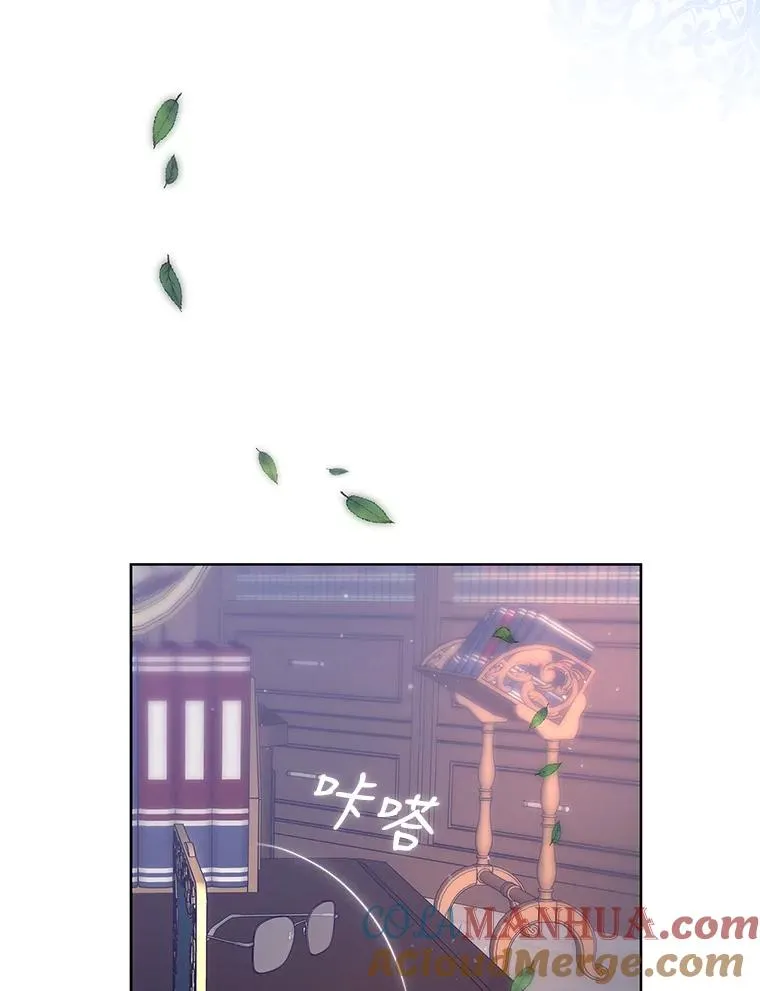 7.山茶花4