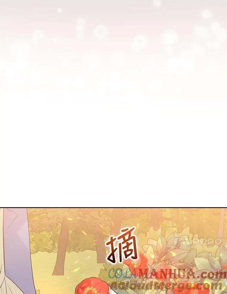 43.山茶花的花语64