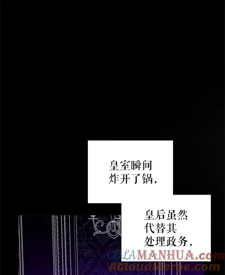 43.山茶花的花语12