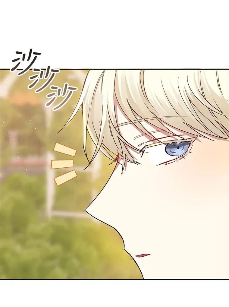 7.山茶花103