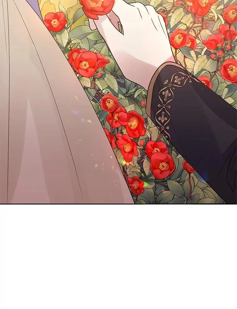 43.山茶花的花语65