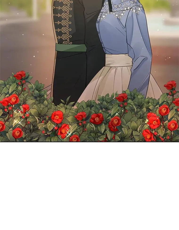 43.山茶花的花语39