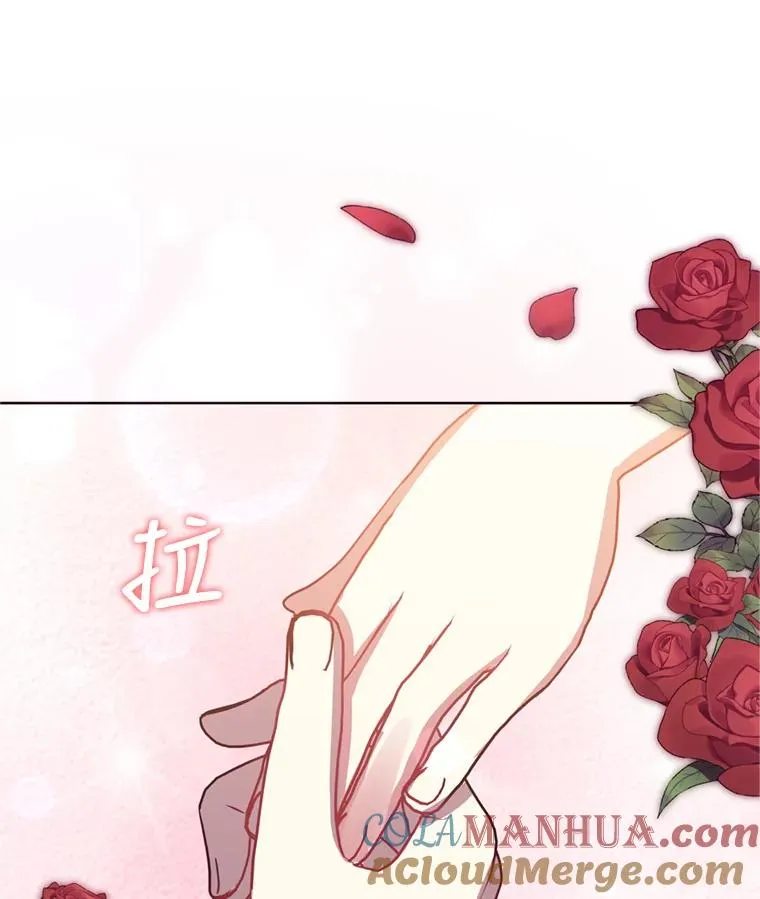25.阿尔森堡公王104