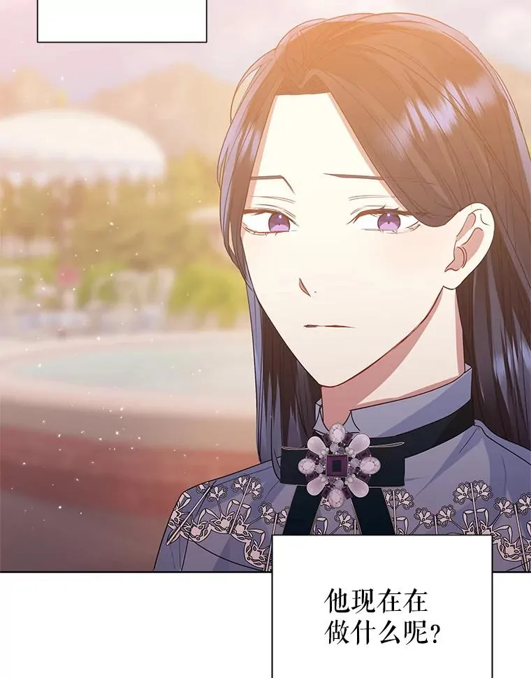 43.山茶花的花语43