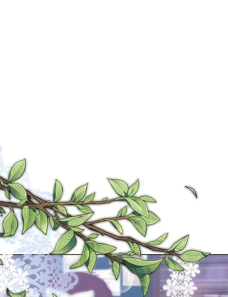 7.山茶花2