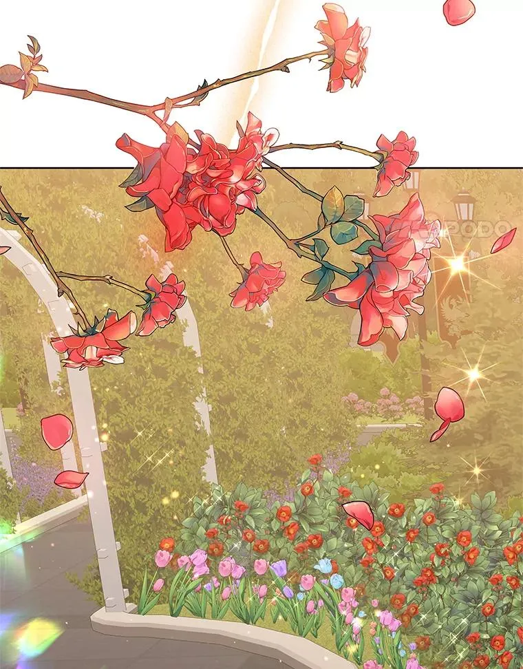 43.山茶花的花语34
