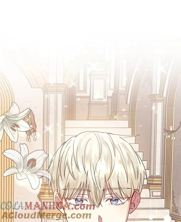 7.山茶花80