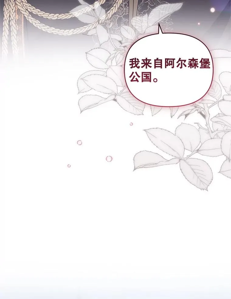 25.阿尔森堡公王38