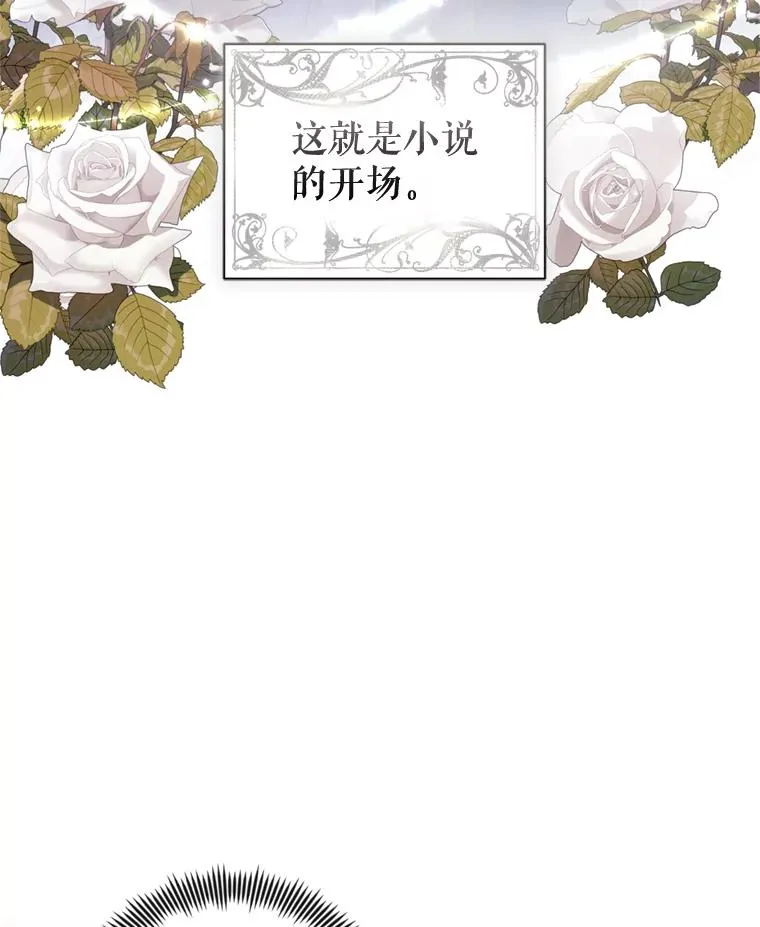 24.搭档6