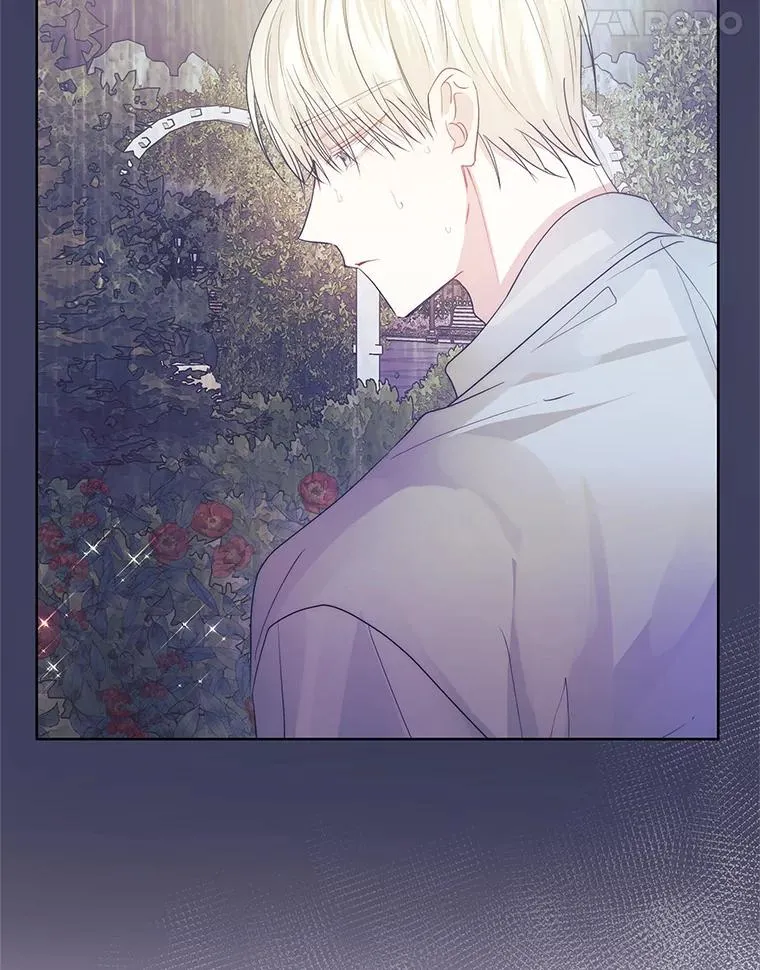 43.山茶花的花语41