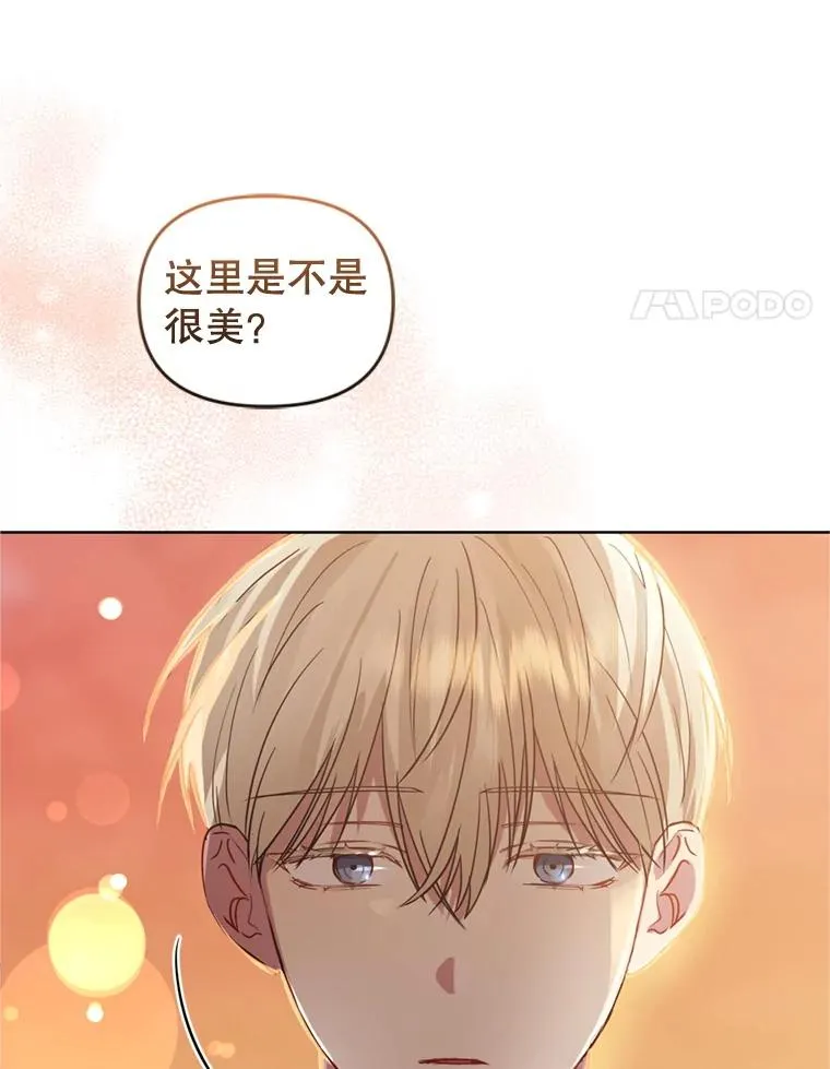 22.母亲的忌日103