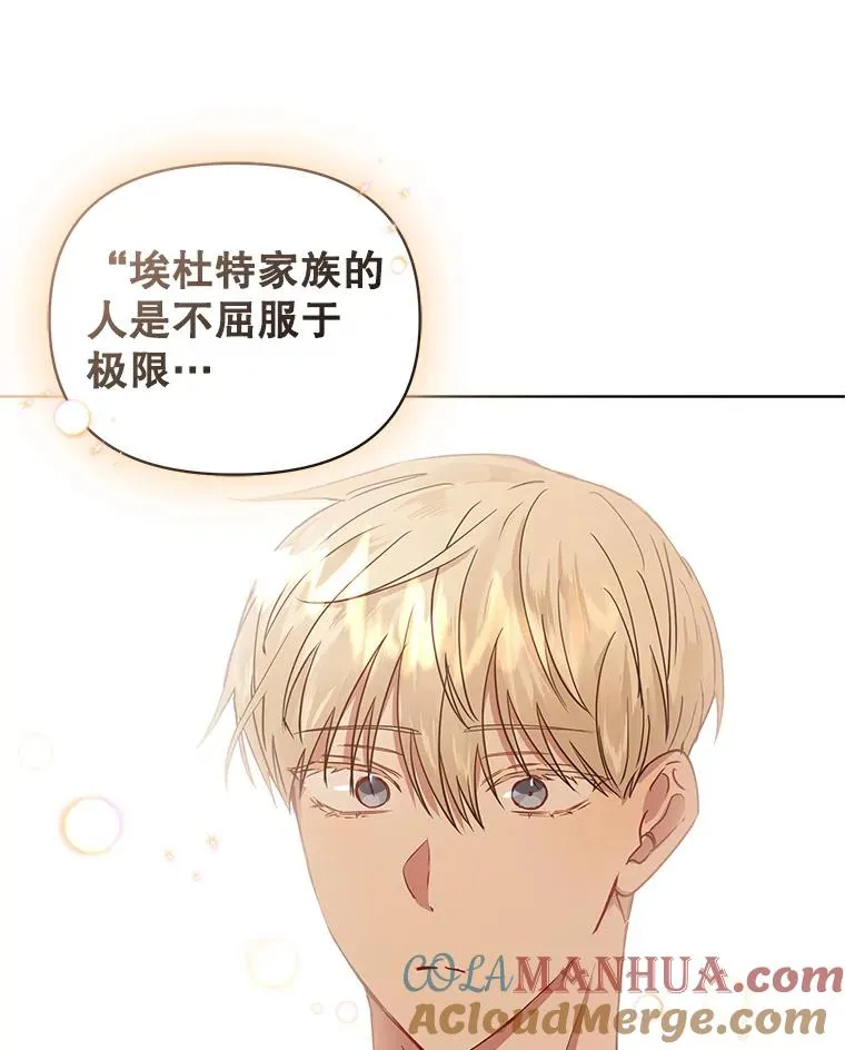 7.山茶花116