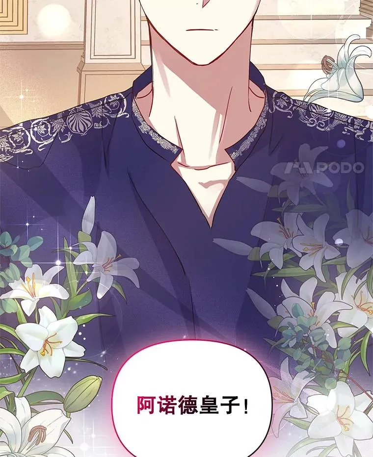 7.山茶花81