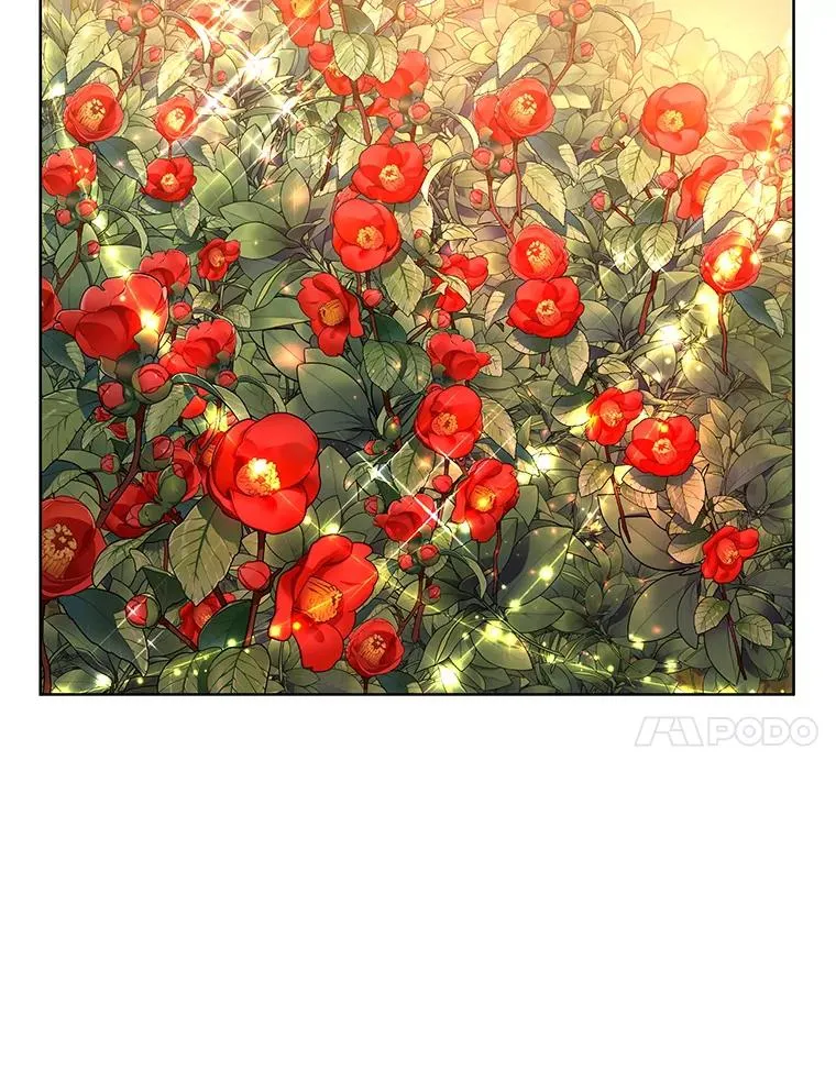 43.山茶花的花语37