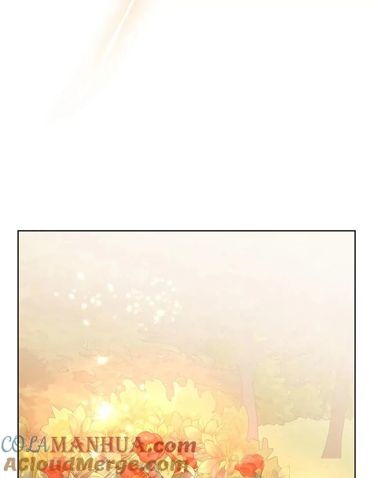 43.山茶花的花语36