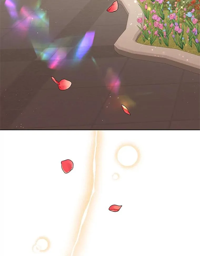 43.山茶花的花语35