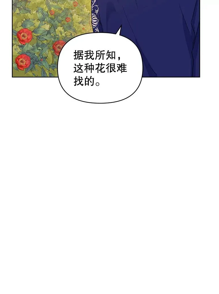 7.山茶花107