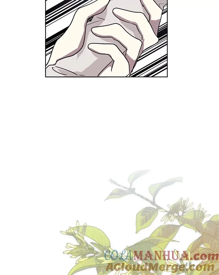 31.投资说明会96