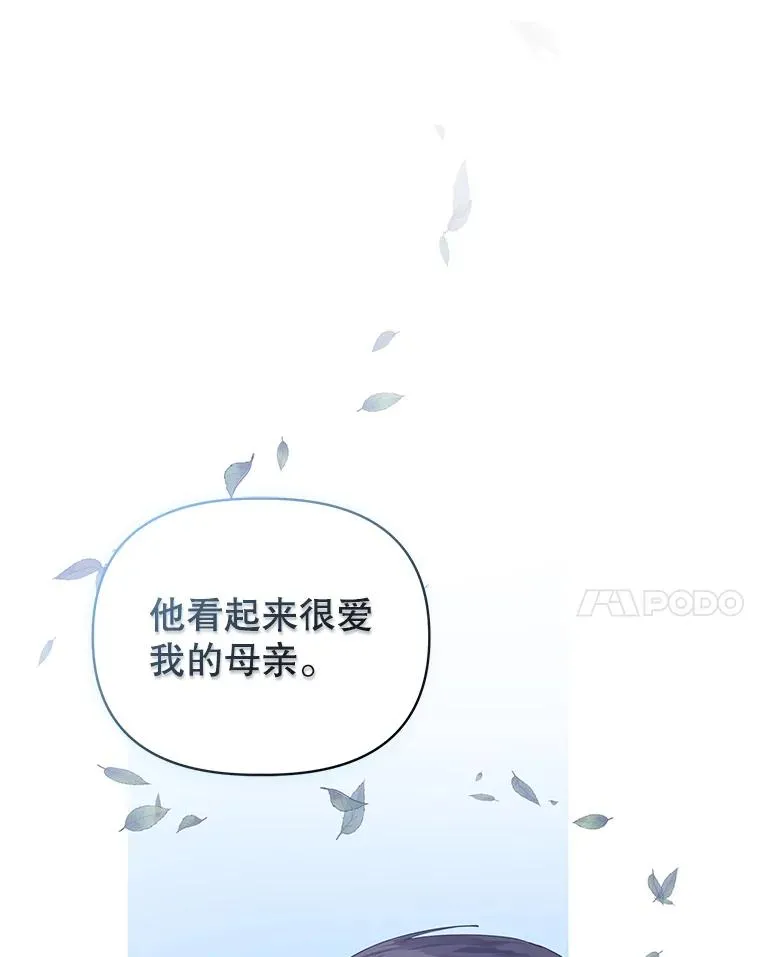 7.山茶花13
