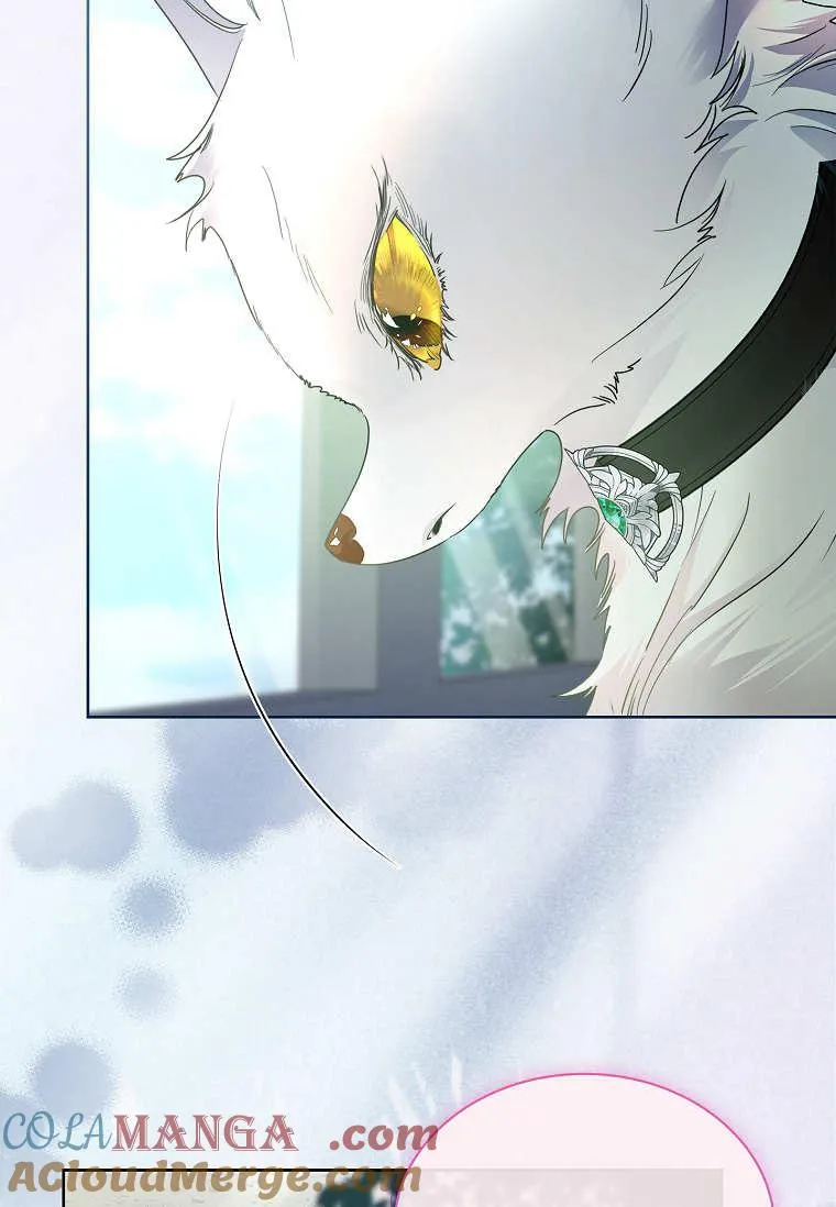 第36话8
