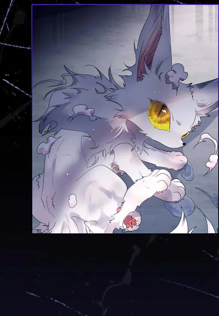 第09话17