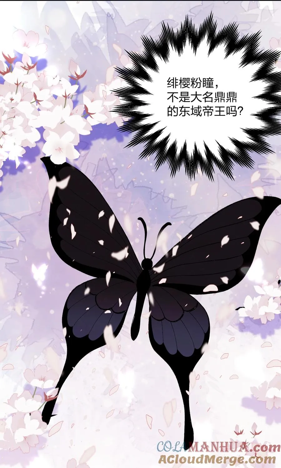 27 宠兽食量大挑战？！24