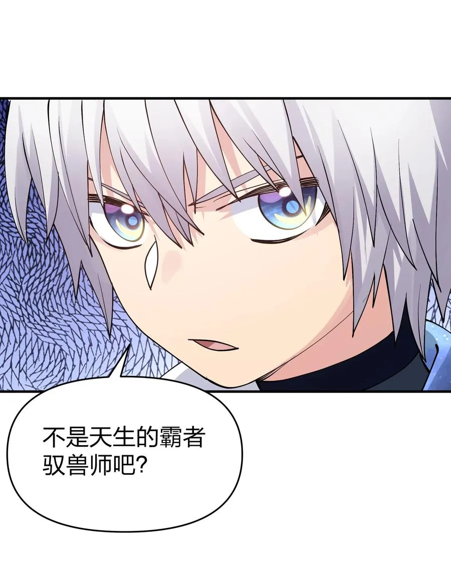 66 东域十二天盾26