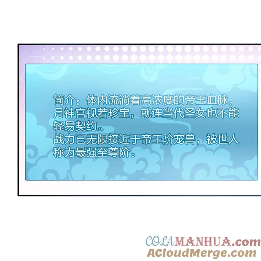 42 最强至尊6