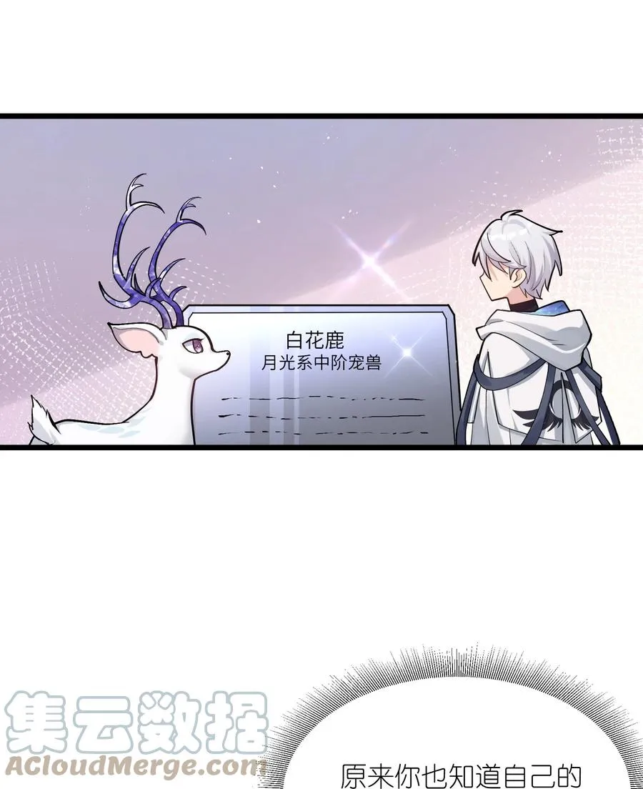 02 宠兽玩手机！51