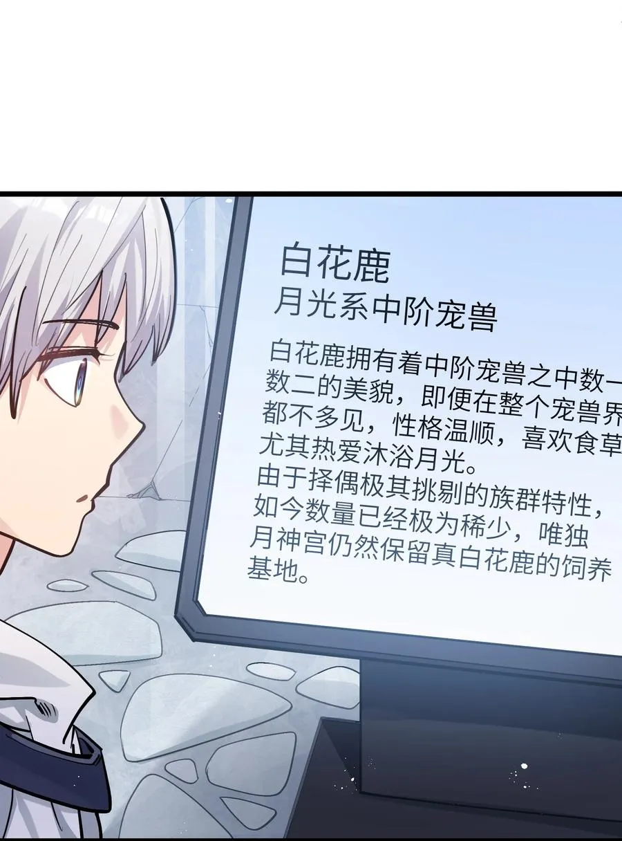 02 宠兽玩手机！20