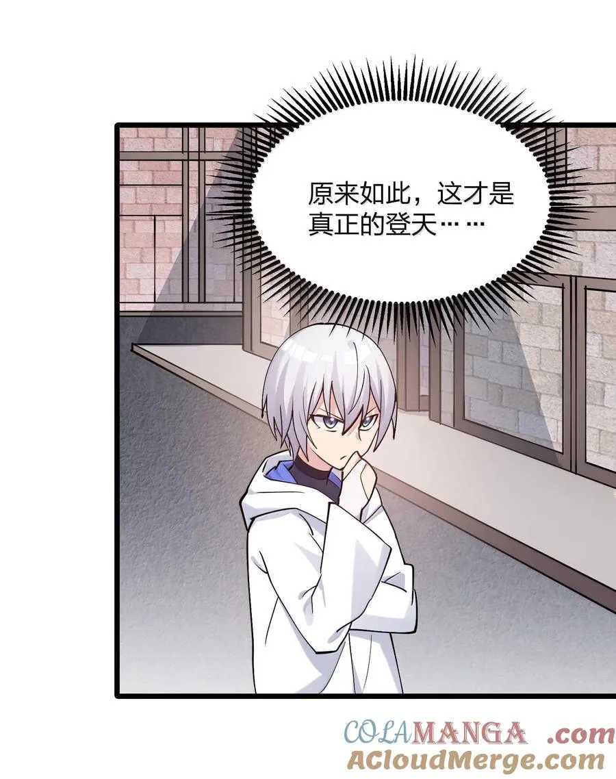 72 天桃环51
