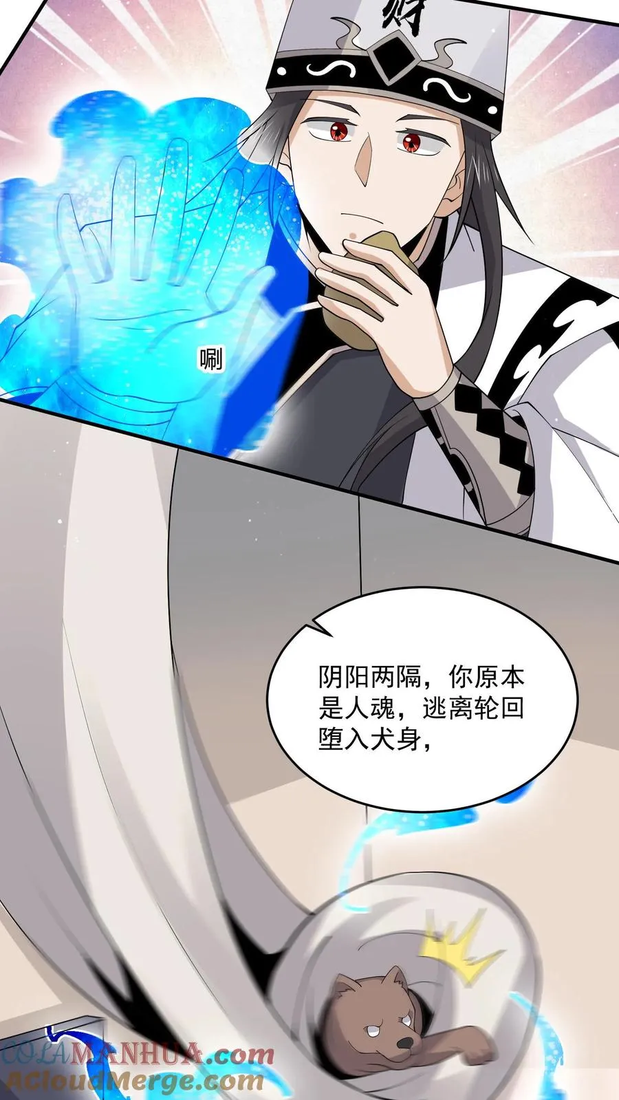 第285话 直播到自己家了！12