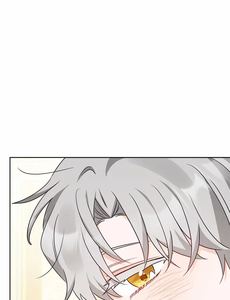 19.十二年后的约定77