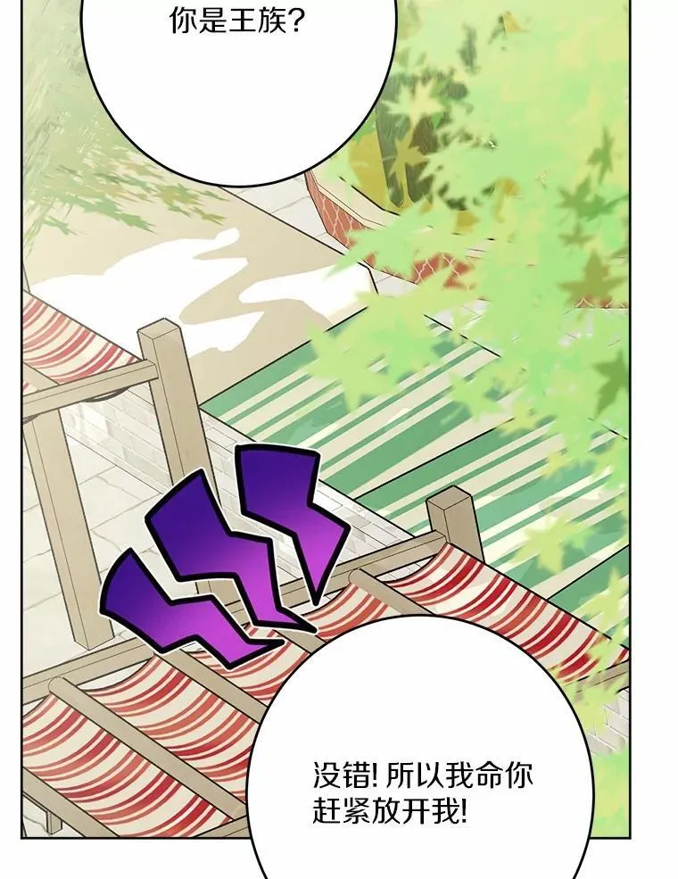 33.无赖王子91
