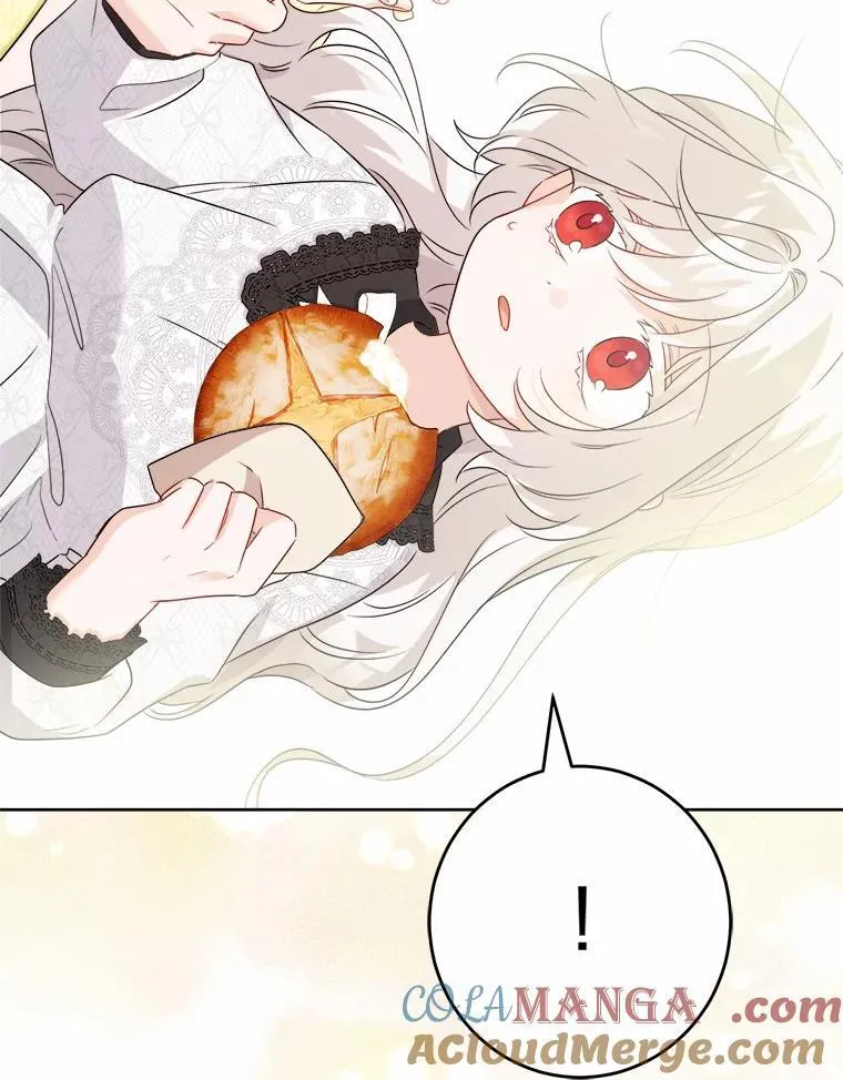 32.庆典66