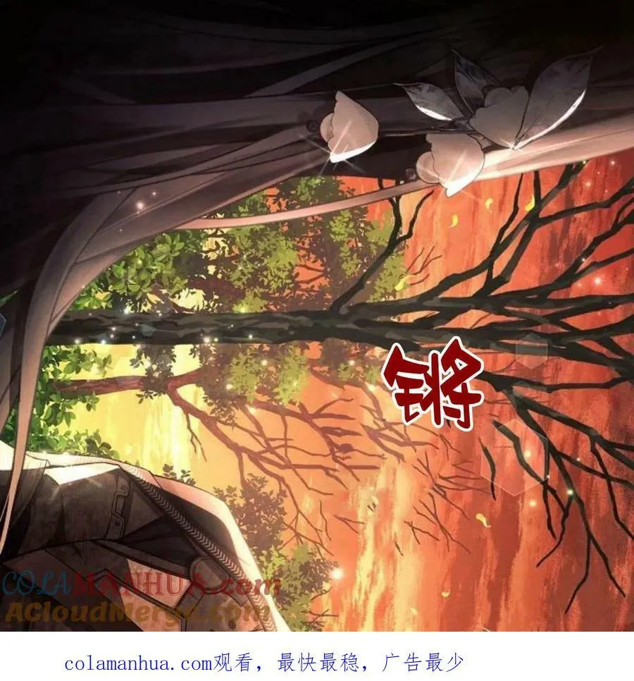 第41话164