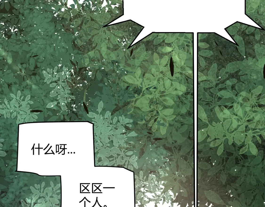 第250话 一人成军的冲击14