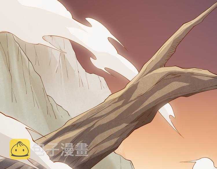 第四话 造极套装162