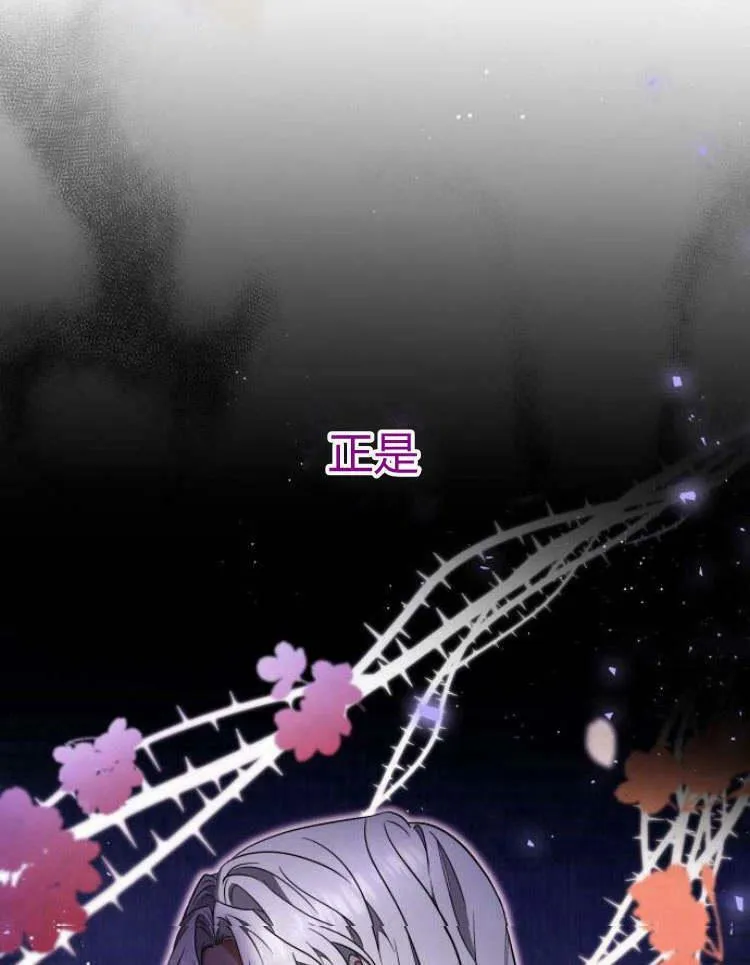 第29话17