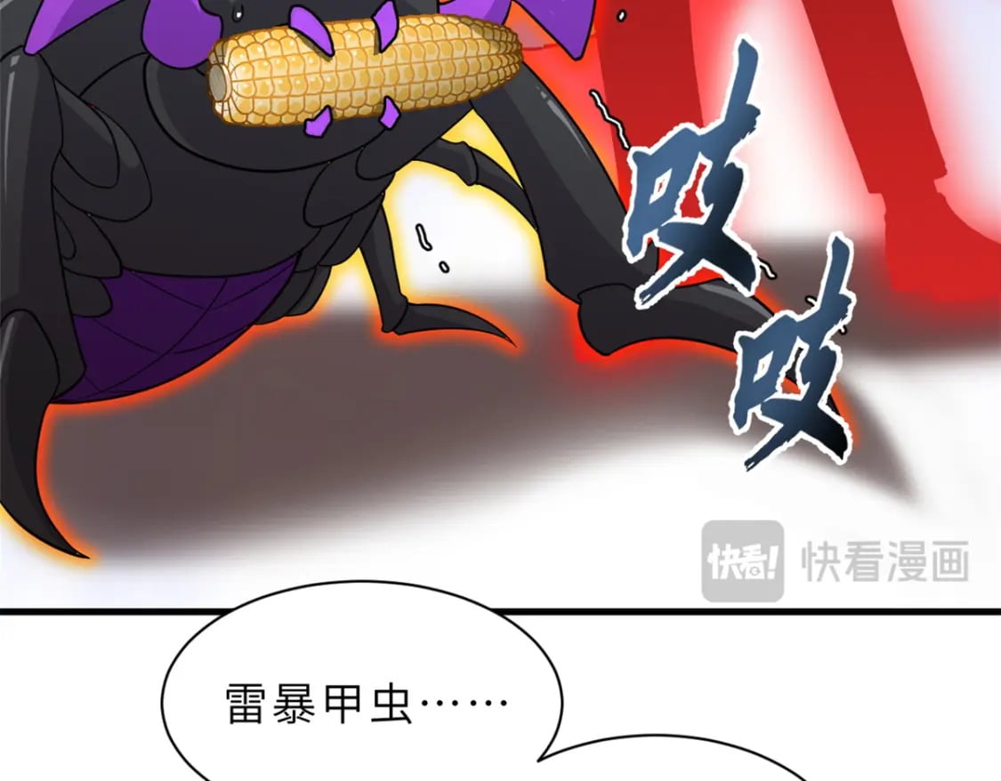 116 斗兽65