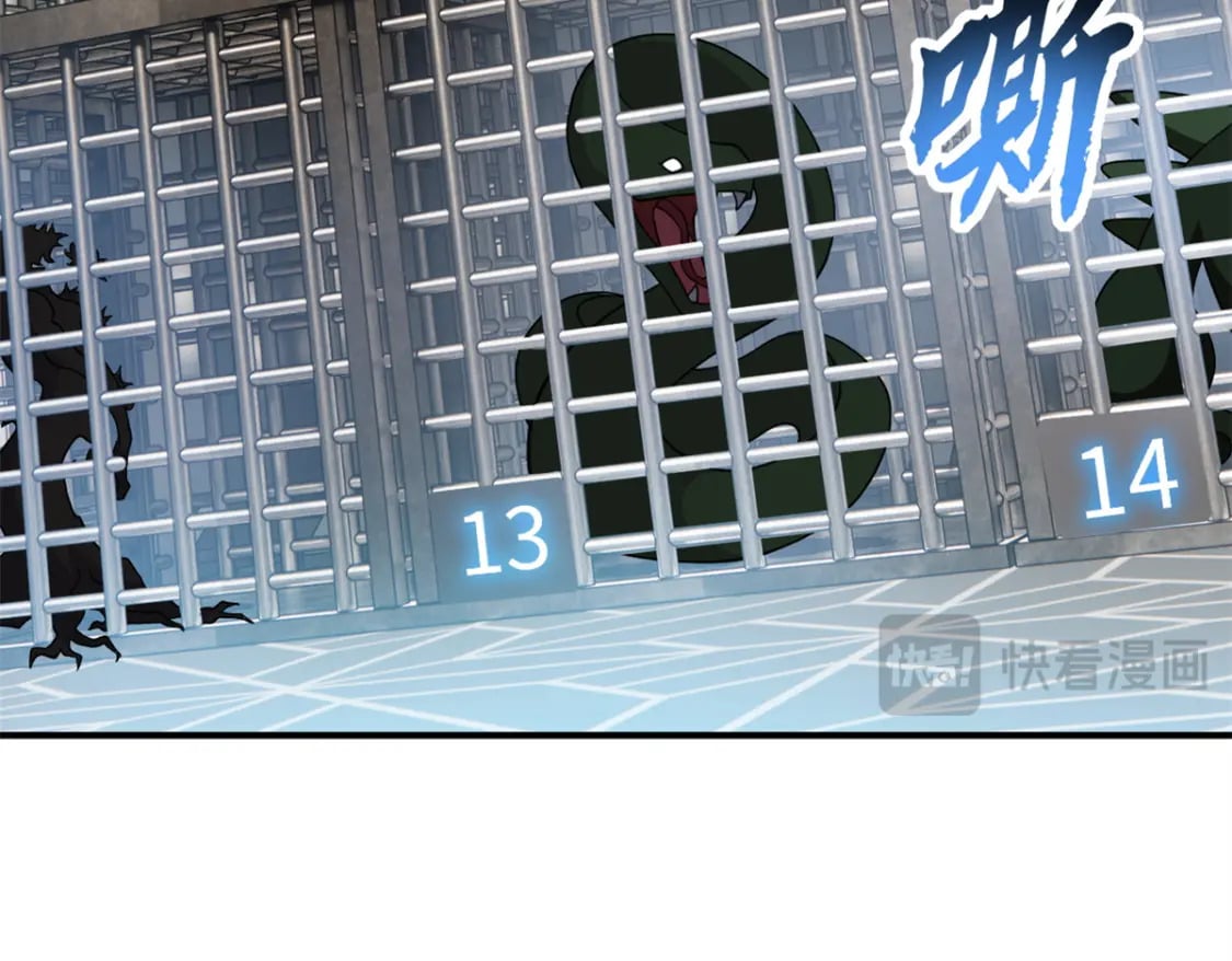 116 斗兽32
