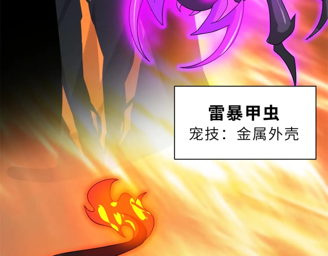 116 斗兽39