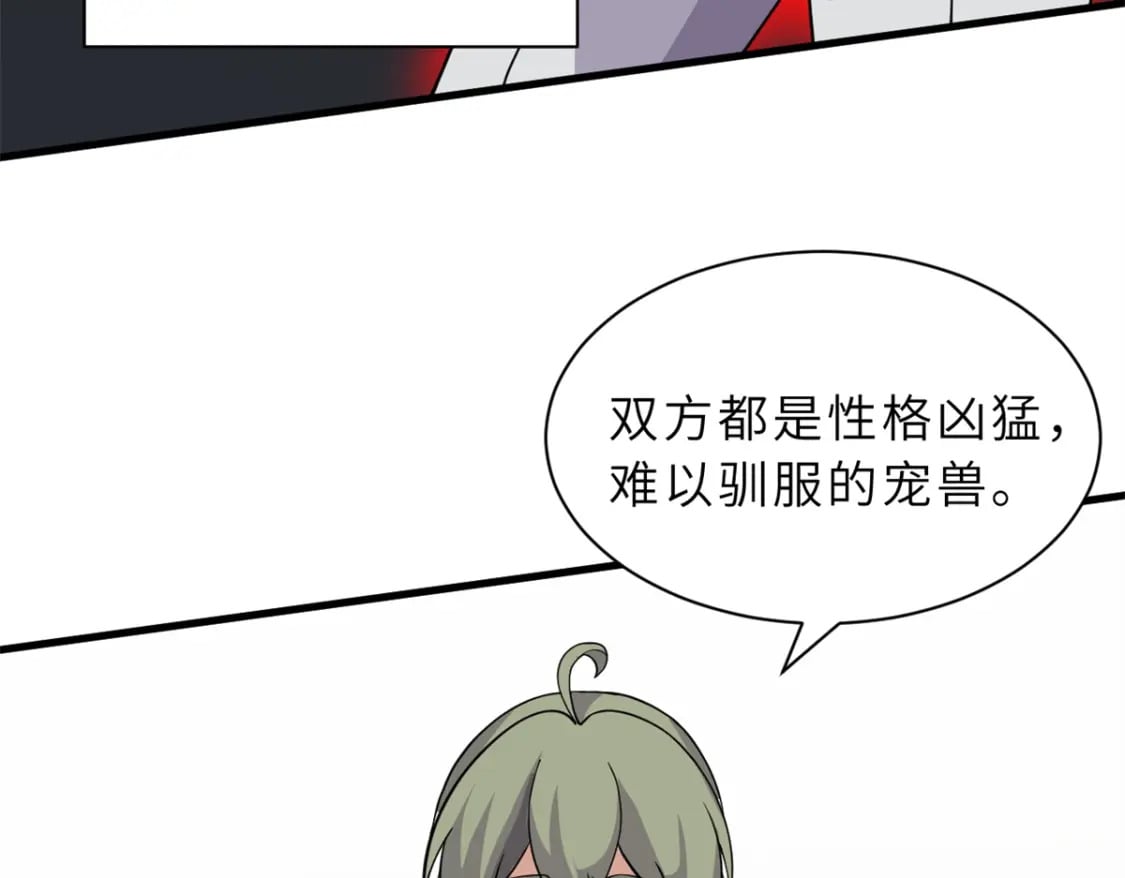 116 斗兽42