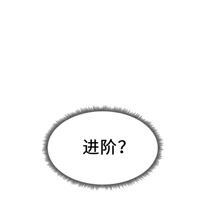 09 战宠师苏平！37