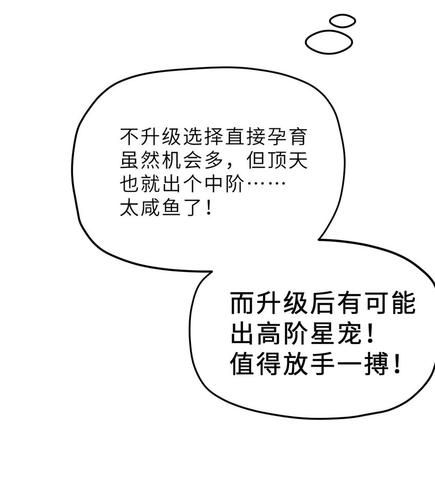 09 战宠师苏平！72