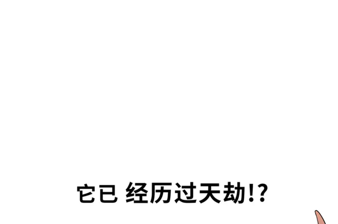 111 全力以赴58
